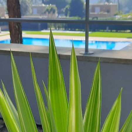 Barca House - Nature - Golf - Pool & Beach Esposende Ngoại thất bức ảnh