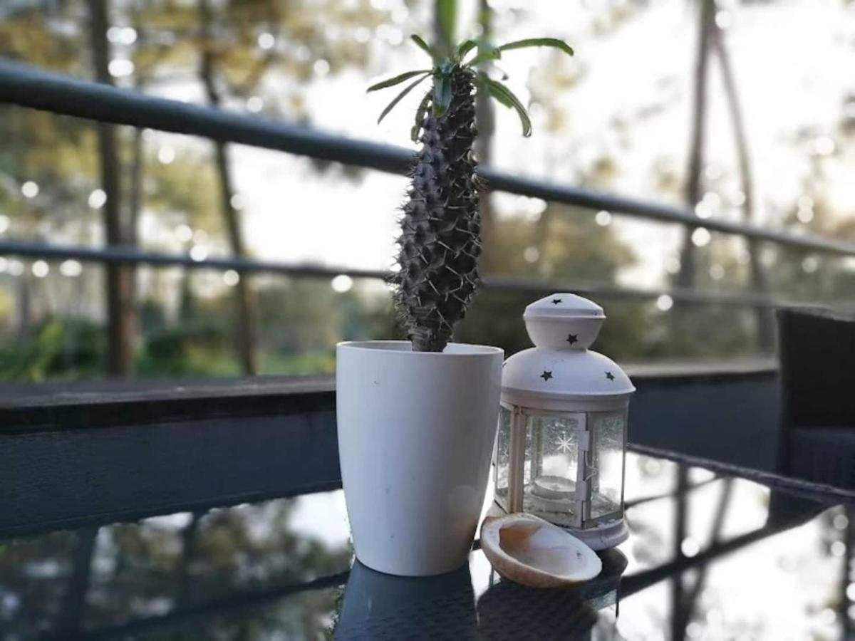 Barca House - Nature - Golf - Pool & Beach Esposende Ngoại thất bức ảnh