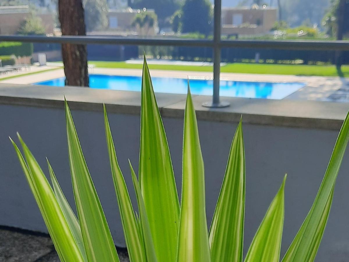 Barca House - Nature - Golf - Pool & Beach Esposende Ngoại thất bức ảnh